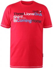 D555 LIONS England T-shirt