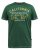 D555 Parnwell California Athletics Printed T-Shirt - T-krekli - T-krekli - 2XL-14XL
