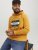Jack & Jones Codyy Hoodie Yellow - Džemperi un džemperi ar kapuci - Džemperi - 2XL-14XL