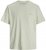 Jack & Jones Almeria Back Print T-Shirt Light Green - T-krekli - T-krekli - 2XL-14XL