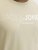 Jack & Jones Blaneo Short Sleeve T-shirt Beige - T-krekli - T-krekli - 2XL-14XL