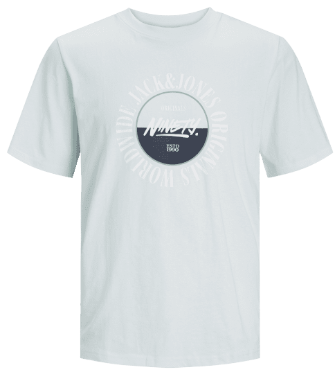 Jack & Jones JORCOBIN T-Shirt Skylight - T-krekli - T-krekli - 2XL-14XL