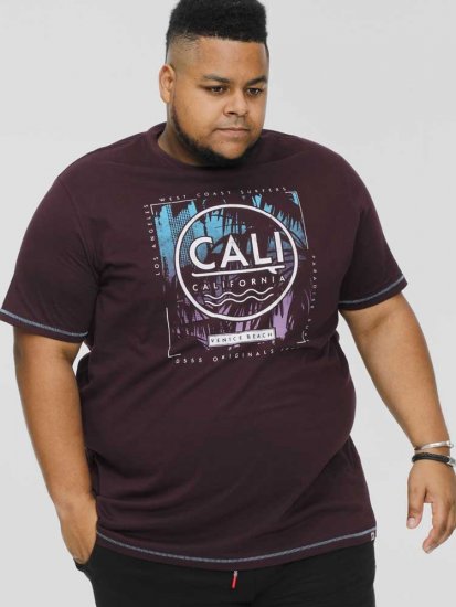 D555 NOVA Cali Surf Printed Crew Neck T-Shirt Plum - T-krekli - T-krekli - 2XL-14XL