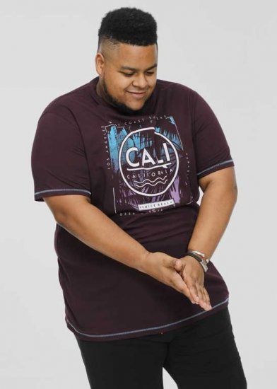 D555 NOVA Cali Surf Printed Crew Neck T-Shirt Plum - T-krekli - T-krekli - 2XL-14XL