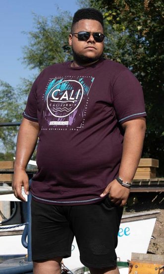 D555 NOVA Cali Surf Printed Crew Neck T-Shirt Plum - T-krekli - T-krekli - 2XL-14XL