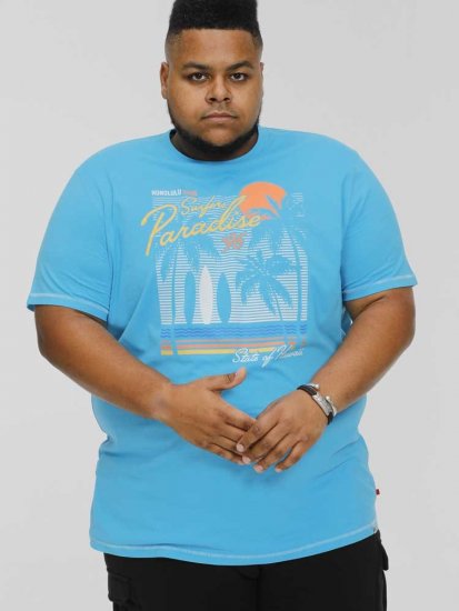 D555 AARON Surfers Paradise Printed Crew Neck T-Shirt Turquoise - T-krekli - T-krekli - 2XL-14XL