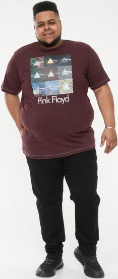 D555 DIVISION Official Pink Floyd Printed T-Shirt Burgundy - T-krekli - T-krekli - 2XL-14XL