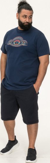 D555 Cheltenham Record With Reflection Printed T-shirt French Navy - T-krekli - T-krekli - 2XL-14XL