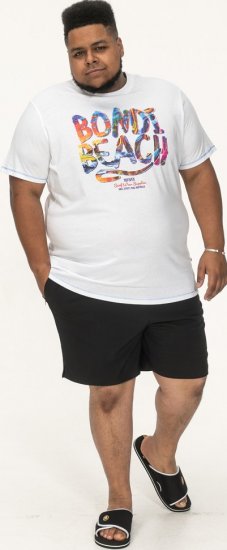 D555 SYDNEY Multi Coloured Bondi Beach Printed T-Shirt White - T-krekli - T-krekli - 2XL-14XL