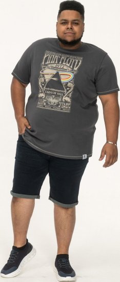 D555 HANLEY Official Pink Floyd Crew Neck T-Shirt Dark Grey - T-krekli - T-krekli - 2XL-14XL
