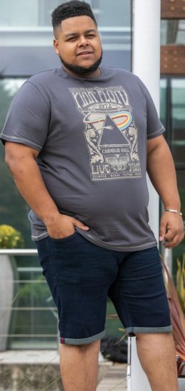 D555 HANLEY Official Pink Floyd Crew Neck T-Shirt Dark Grey TALL SIZES - VĪRIEŠU APĢĒRBS MT-6XLT - Apģērbs gariem vīriešiem
