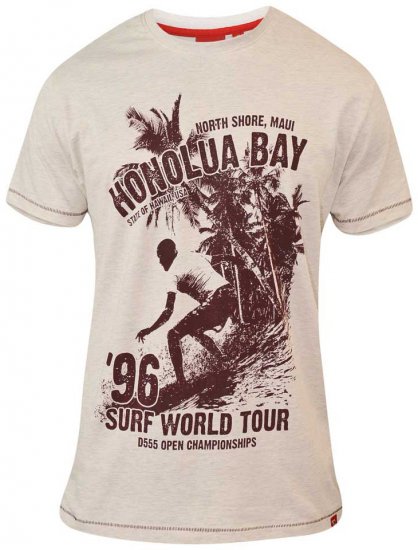 D555 CLAYTON Honolua Bay T-shirt White Marl - T-krekli - T-krekli - 2XL-8XL