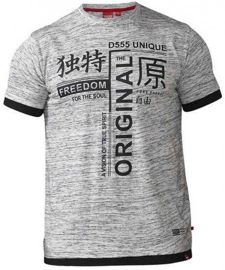 D555 Harold T-shirt Grey - T-krekli - T-krekli - 2XL-14XL