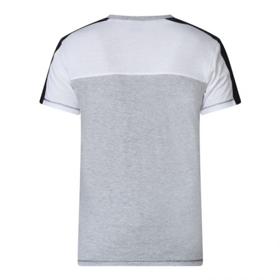 D555 Alvester T-shirt Grey - T-krekli - T-krekli - 2XL-14XL