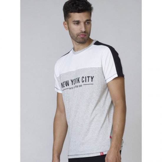 D555 Alvester T-shirt Grey - T-krekli - T-krekli - 2XL-14XL
