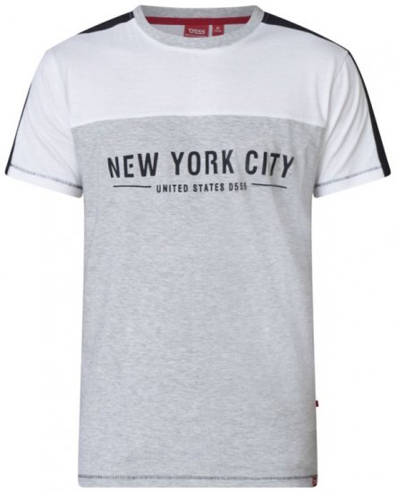 D555 Alvester T-shirt Grey - T-krekli - T-krekli - 2XL-14XL