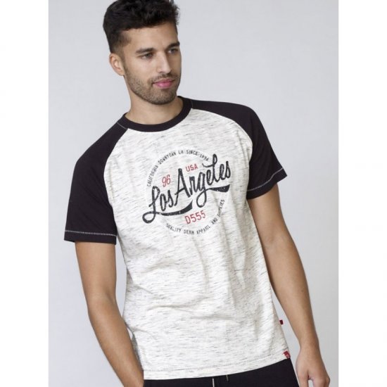 D555 Judson T-shirt Grey - T-krekli - T-krekli - 2XL-14XL