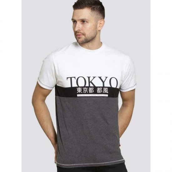 D555 Morris T-shirt Charcoal - T-krekli - T-krekli - 2XL-14XL