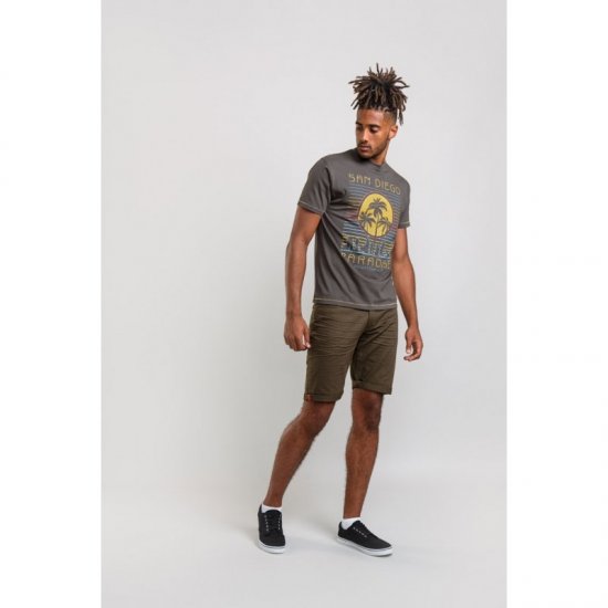 D555 Stanley T-shirt Khaki - T-krekli - T-krekli - 2XL-14XL