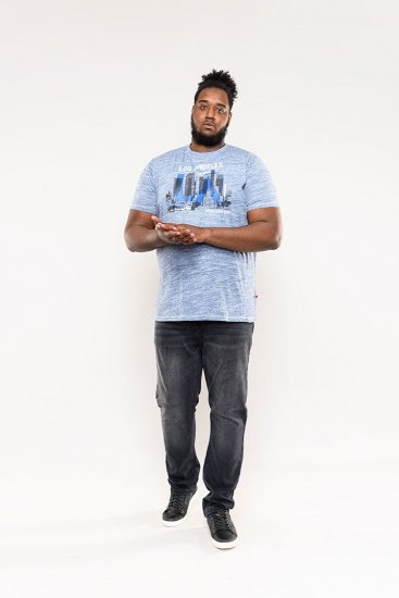 D555 Hobart LA Printed T-Shirt Blue - T-krekli - T-krekli - 2XL-14XL