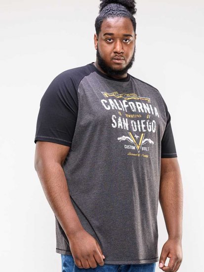 D555 Lismore Raglan Sleeve San Diego Printed T-Shirt Charcoal - T-krekli - T-krekli - 2XL-14XL