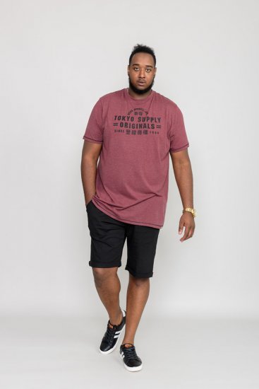 D555 LINTON Printed T-Shirt - T-krekli - T-krekli - 2XL-14XL