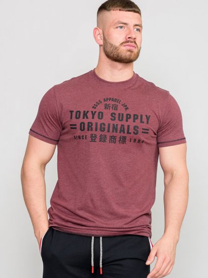 D555 LINTON Printed T-Shirt - T-krekli - T-krekli - 2XL-14XL