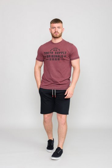 D555 LINTON Printed T-Shirt - T-krekli - T-krekli - 2XL-14XL