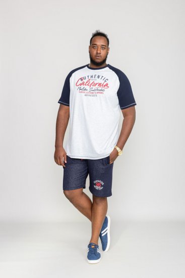 D555 SPARROW Printed T-Shirt - T-krekli - T-krekli - 2XL-14XL