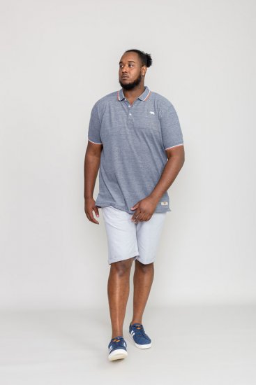 D555 WILCOT Polo Shirt - Polo krekli - Polo krekli - 2XL-8XL