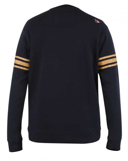 D555 Charlestown Navy Sweatshirt - Džemperi un džemperi ar kapuci - Džemperi - 2XL-14XL