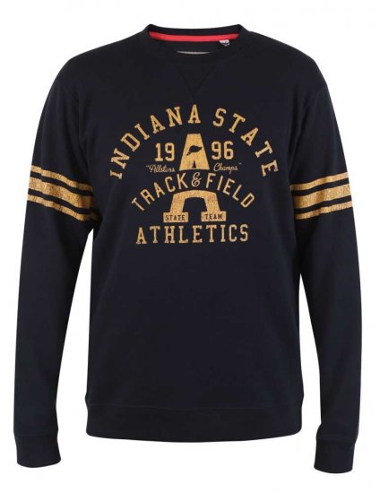 D555 Charlestown Navy Sweatshirt - Džemperi un džemperi ar kapuci - Džemperi - 2XL-14XL