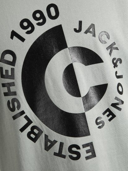 Jack & Jones JCOSPRING T-Shirt Gray - T-krekli - T-krekli - 2XL-14XL