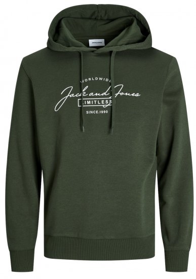 Jack & Jones JJFERRIS SWEAT Hoodie Kombu Green - Džemperi un džemperi ar kapuci - Džemperi - 2XL-14XL
