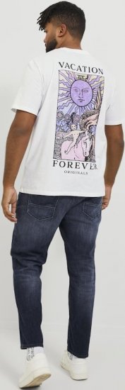 Jack & Jones GLENN FOX GE 224 Jeans Blue Denim - Džinsi un bikses - Džinsi un Bikses - W40-W70