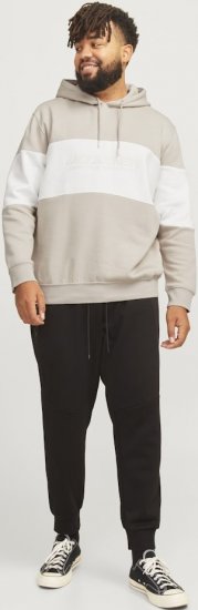 Jack & Jones LEGACY 2 Color Hoodie Beige - Džemperi un džemperi ar kapuci - Džemperi - 2XL-14XL