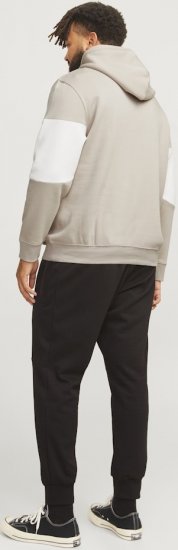Jack & Jones LEGACY 2 Color Hoodie Beige - Džemperi un džemperi ar kapuci - Džemperi - 2XL-14XL