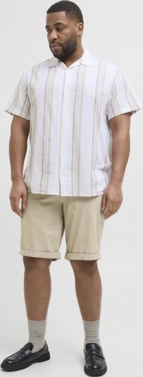 Jack & Jones Dave Chino Shorts Beige - Šorti - Šorti - W40-W60