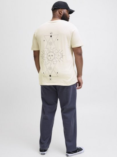 Jack & Jones Jackie Crew Neck T-Shirt Moonbeam - T-krekli - T-krekli - 2XL-14XL