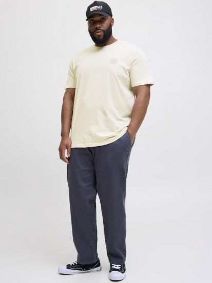 Jack & Jones Jackie Crew Neck T-Shirt Moonbeam - T-krekli - T-krekli - 2XL-14XL