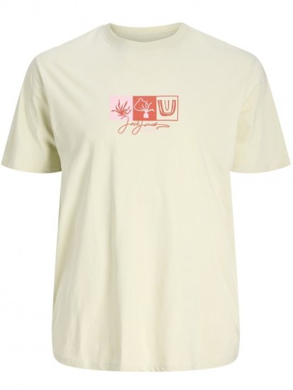 Jack & Jones Canggu Crew Neck T-Shirt Celadon Tint - T-krekli - T-krekli - 2XL-14XL