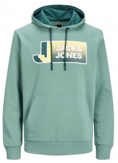Jack & Jones JCOLOGAN Hoodie Trellis - Džemperi un džemperi ar kapuci - Džemperi - 2XL-14XL