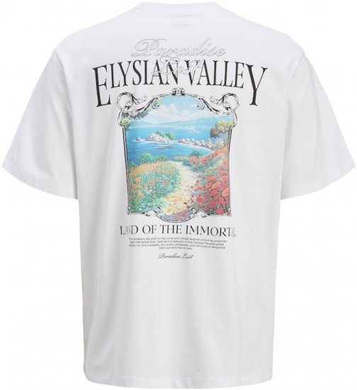 Jack & Jones Parallel Crew Neck T-Shirt Bright White - T-krekli - T-krekli - 2XL-14XL