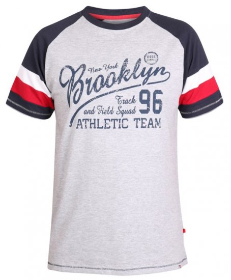 D555 Jones T-shirt Grey - T-krekli - T-krekli - 2XL-14XL