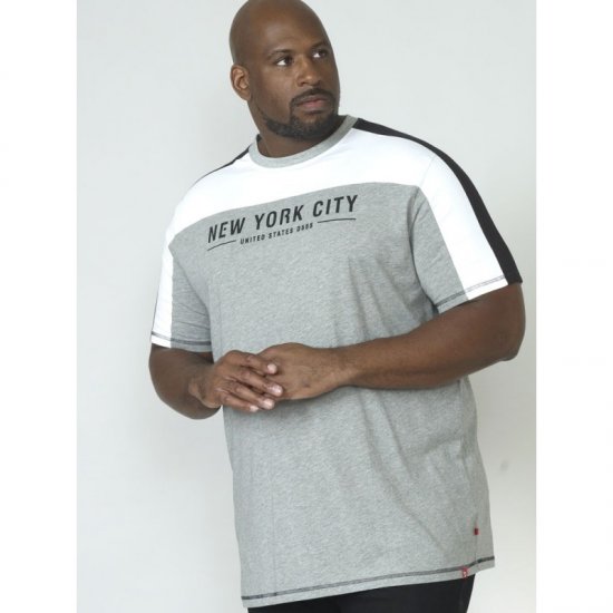 D555 Alvester T-shirt Grey - T-krekli - T-krekli - 2XL-14XL