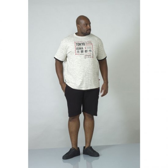 D555 Merlin T-shirt Grey - T-krekli - T-krekli - 2XL-14XL