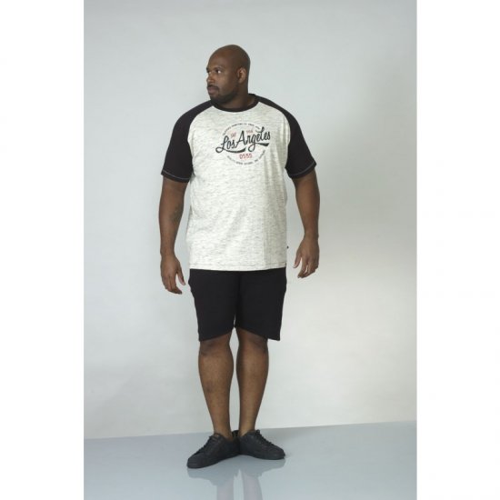 D555 Judson T-shirt Grey - T-krekli - T-krekli - 2XL-14XL