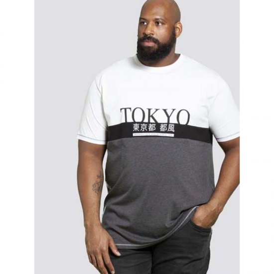 D555 Morris T-shirt Charcoal - T-krekli - T-krekli - 2XL-14XL