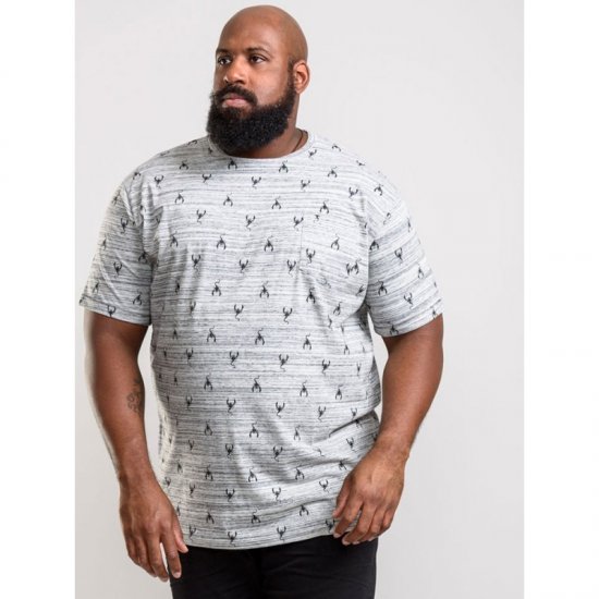 D555 Dario T-shirt Grey - T-krekli - T-krekli - 2XL-14XL