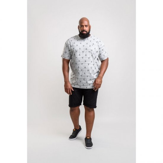 D555 Dario T-shirt Grey - T-krekli - T-krekli - 2XL-14XL